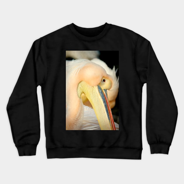 Proud Of Its Beak Crewneck Sweatshirt by AlexaZari